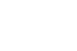 Logo The Undefeated White 300x200
