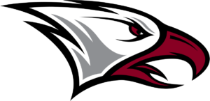 NCCU Eagles Head Mark Logo.svg