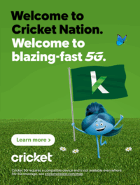Cricket Celebration Bowl - The Story Never Ends